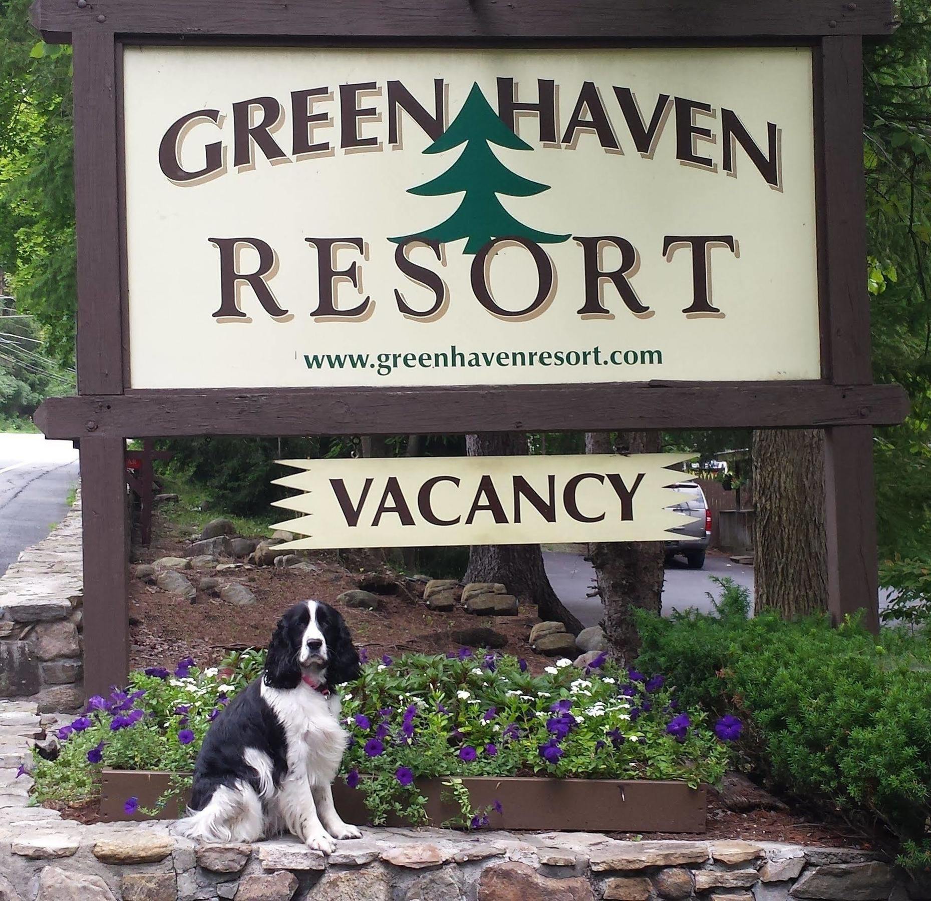 Green Haven Resort Lake George Esterno foto
